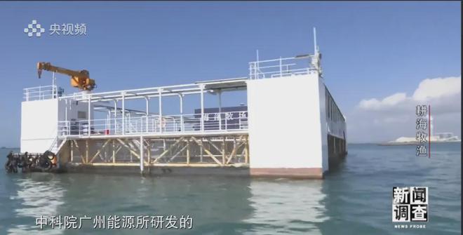 央视《新闻调查》重磅聚焦，湛江水产养殖“游”向深远海